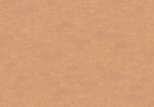 Marburger Tapete 30142 10,05 x 0,92 m Bombay 2025
